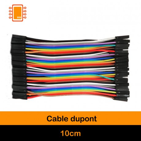 Cable Dupont 10 cm