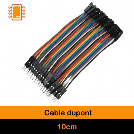 Cable Dupont 10 cm