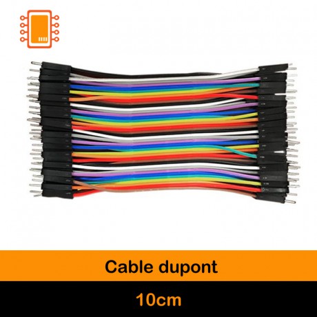 Cable Dupont 10 cm