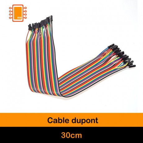 Cable Dupont 30 cm