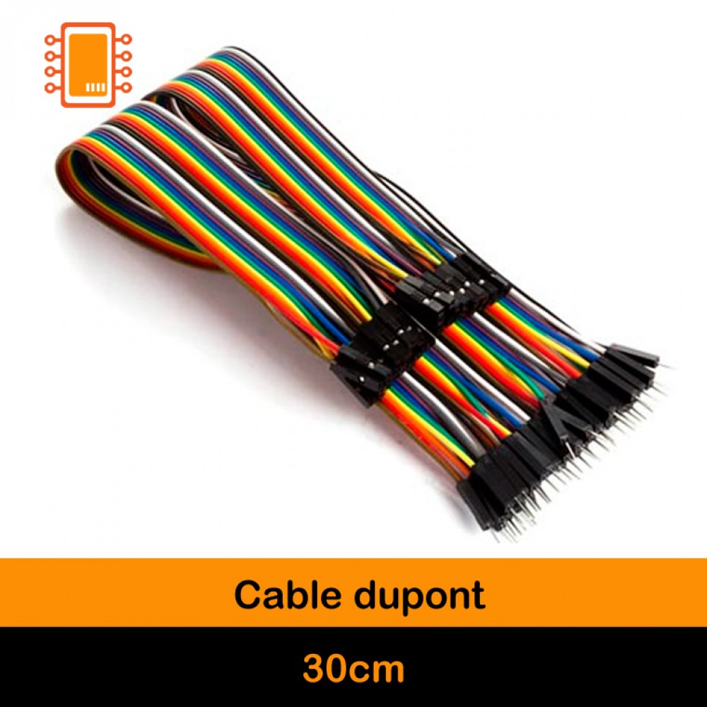 Cable Dupont 30 cm