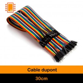 Cable Dupont 30 cm