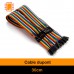 Cable Dupont 30 cm