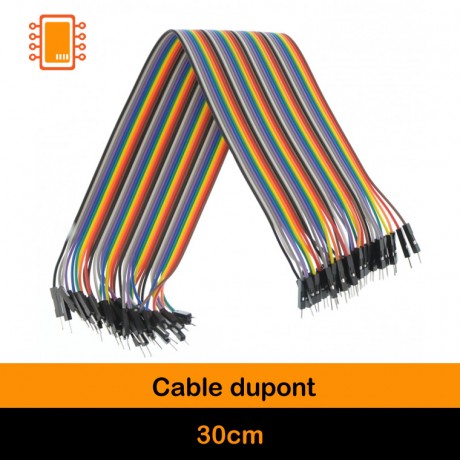 Cable Dupont 30 cm