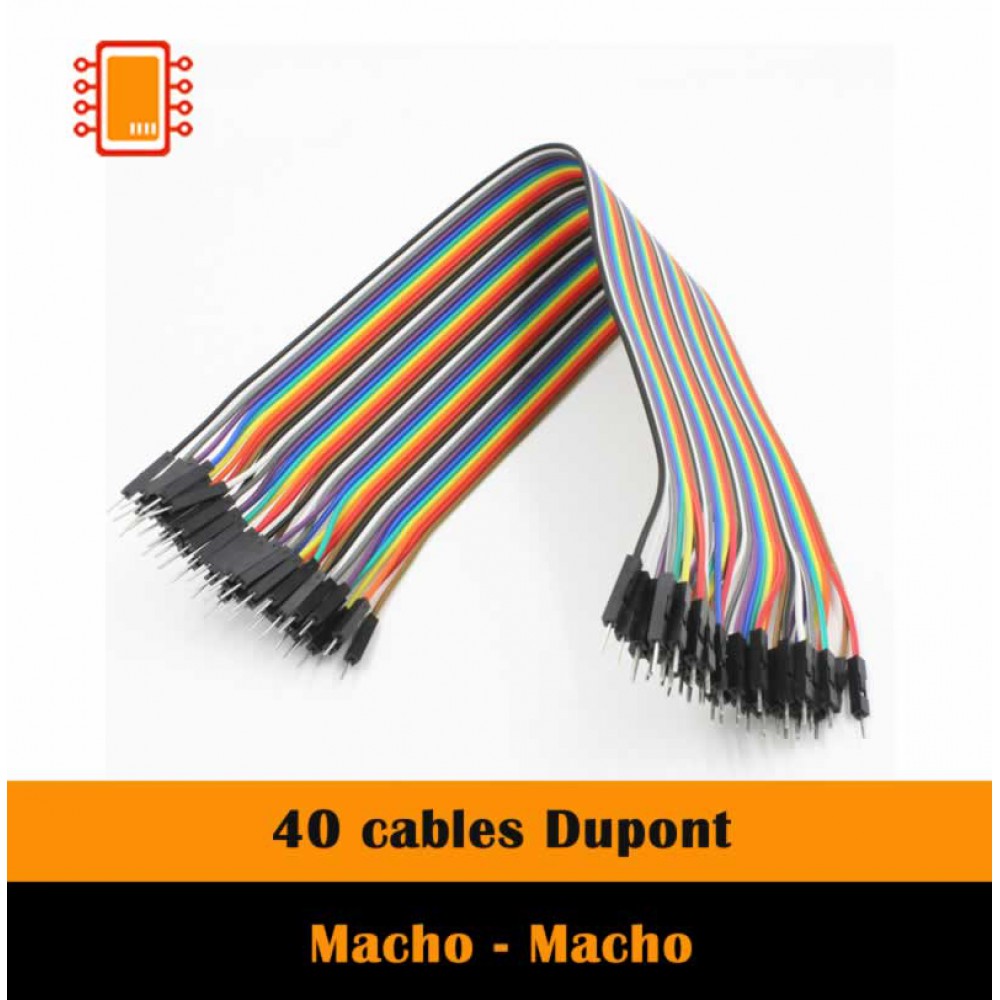 Cable Dupont 20 cm