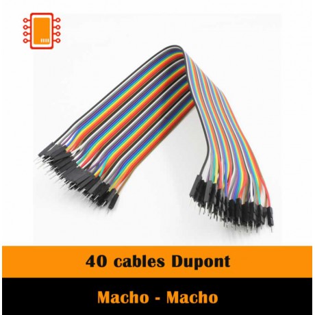 Cable Dupont 20 cm