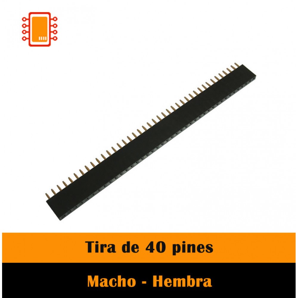 Tira de 40 pines