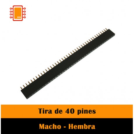 Tira de 40 pines