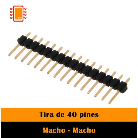 Tira de 40 pines