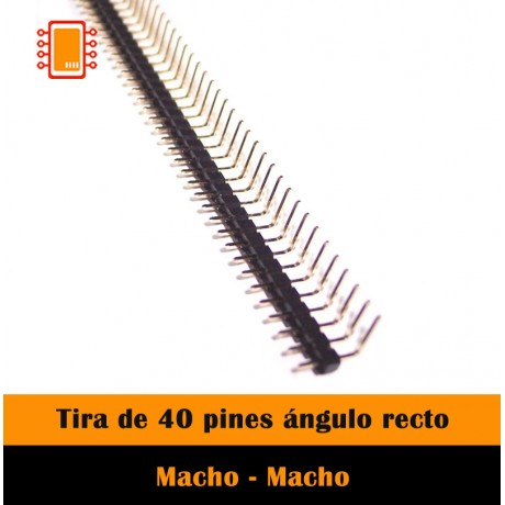Tira de 40 pines
