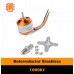 Motor brushless