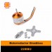 Motor brushless